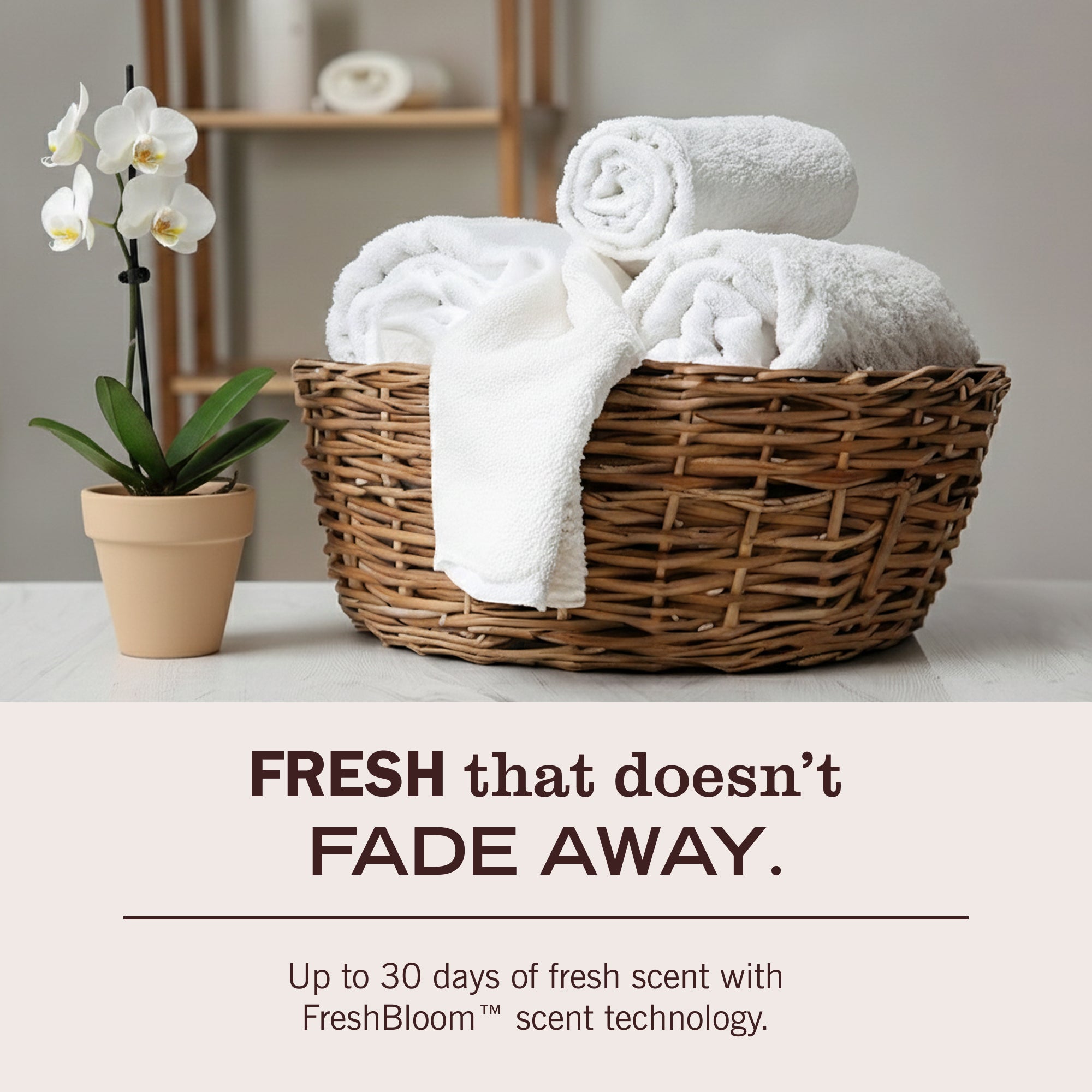 Birchwood Laundry Detergent - Image 6