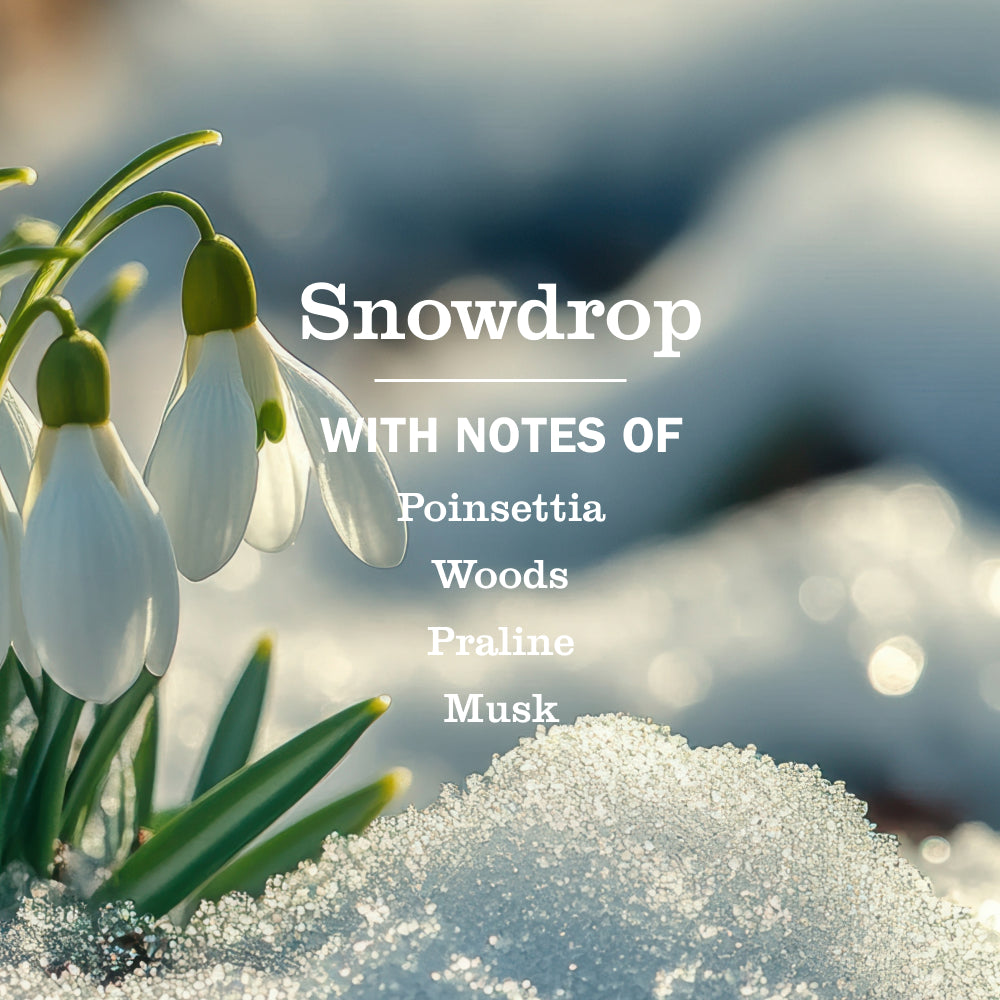 Snowdrop Liquid Dish Soap - Image 4